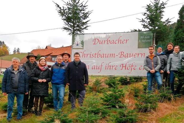 Verkaufssaison in Durbach offiziell erffnet: Die Christbaumpreise steigen leicht an