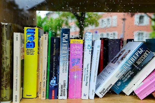 Gemeinden fürchten Vandalismus bei manchen offenen Bücherregalen