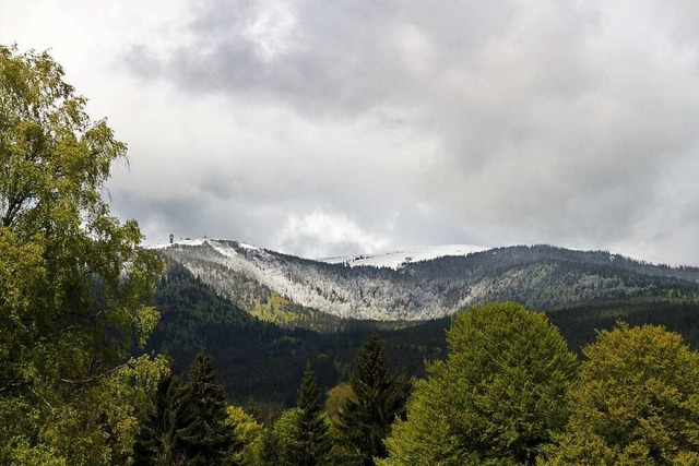 Ein Anblick, der auch in diesem Winter...scht: ein berwiegend grner Feldberg.  | Foto: Hubertus Ulsamer