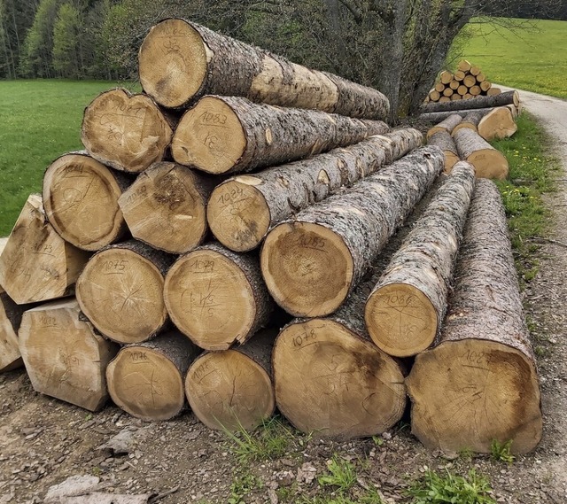 Auch mit Holz mittelmiger Qualitt l...erzeit noch ganz gutes Geld verdienen.  | Foto: Peter Stellmach