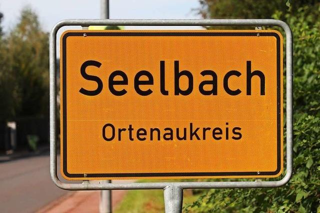 Fragen und Antworten zur Bürgermeisterwahl Seelbach in der Übersicht
