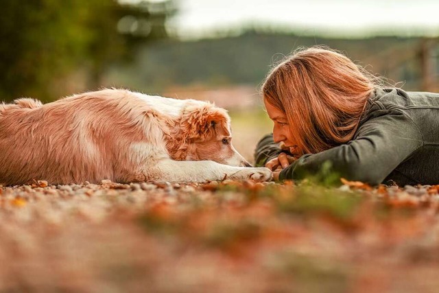 Hunde mssen in der Welt einer anderen... kennen, desto eher gelingt ihnen das.  | Foto: Annabell Gsdl (stock.adobe.com)
