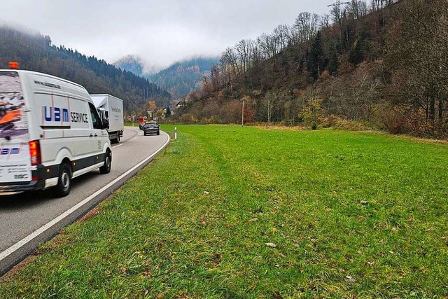 Auf dieser Wiese soll die Traglufthalle fr Geflchtete errichtet werden.  | Foto: Gerald Nill