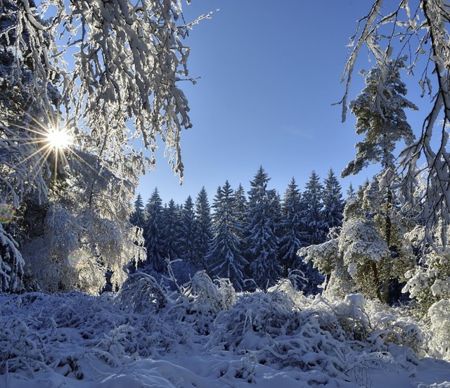   | Foto: Wilhelm Billharz