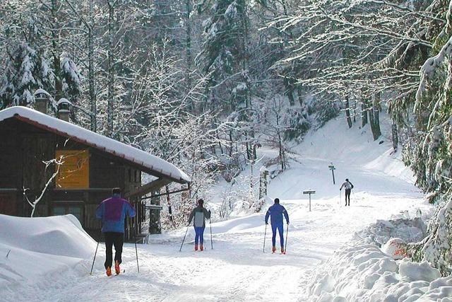 Der Skiclub Malsburg-Marzell prpariert die Meierskopf-Loipe