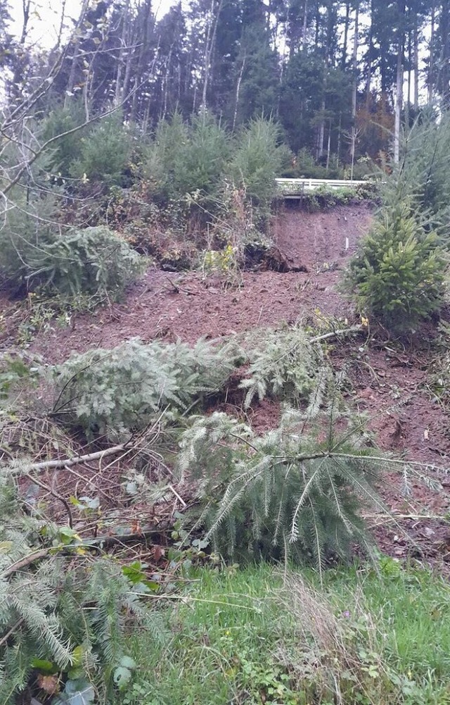 Abgerutschter Hang an der Freimter Strae, Gemarkung Siegelau  | Foto: Landratsamt Emmendingen