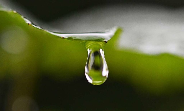 Auf die Wrme folgte am Hochrhein viel Regen.  | Foto: Arne Dedert (dpa)