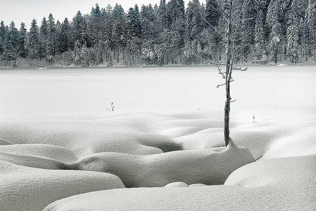 Der Feldsee – tief verschneit