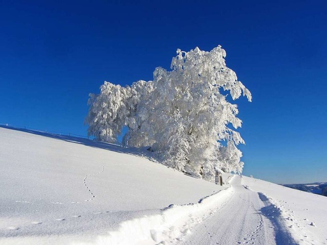 Schauinsland im Winter.  | Foto: Benjamin Steinfurth
