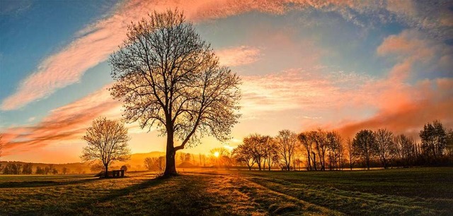 Sonnenaufgang in den Elzwiesen bei Kollmarsreute.  | Foto: Wolfgang Speer