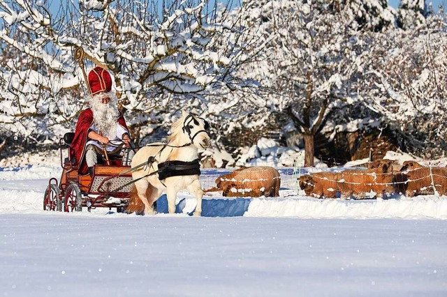 Ein als Nikolaus verkleideter Mann fh...ch akkurat diese Darstellung wohl ist?  | Foto: Thomas Warnack (dpa)