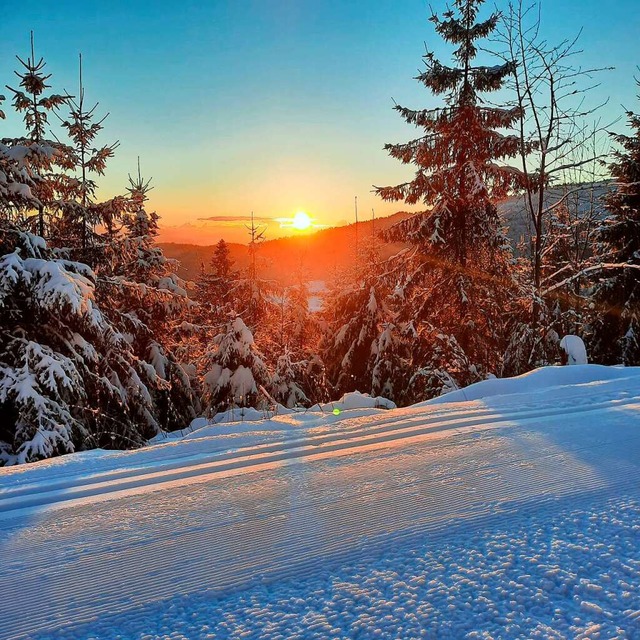 Im Bereich der Loipen auf dem Lipple kann es zu Schneebruch kommen.  | Foto: Skiclub Malsburg-Marzell/Kerstin Trefzer