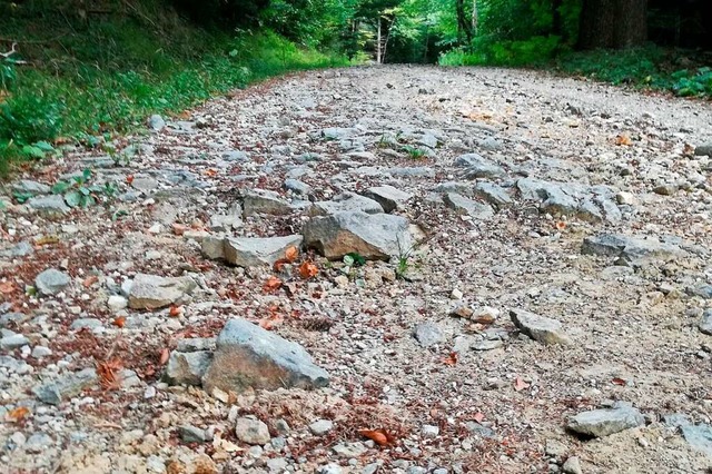 Lose Steine auf einem Waldweg  | Foto: Andrea Drescher