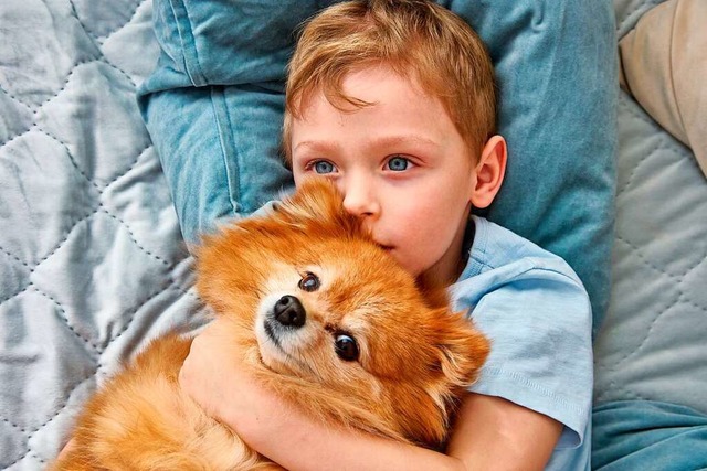 Die Misshandlung eines Haustieres kann...Tierqulerei und Kindeswohlgefhrdung.  | Foto: Aleksandr - stock.adobe.com