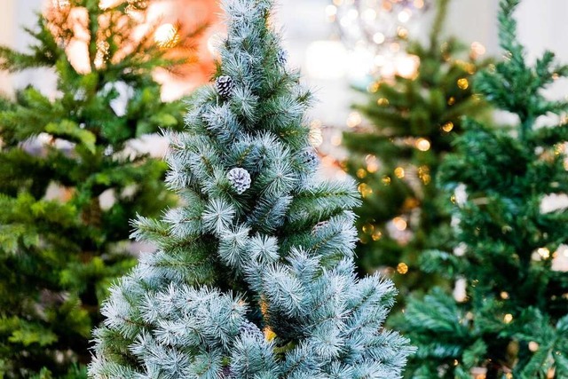 Damit ein knstlicher Weihnachtsbaum n... er lange benutzt werden. (Archivbild)  | Foto: Rolf Vennenbernd (dpa)