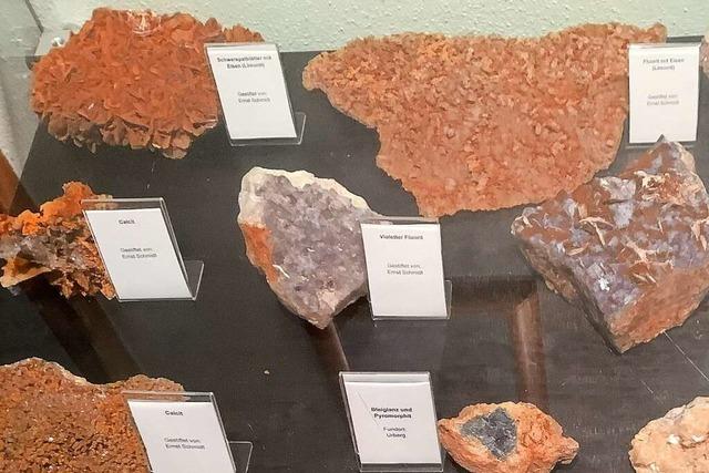 Lokale statt auslndische Funde: Neue Exponate in Urberg