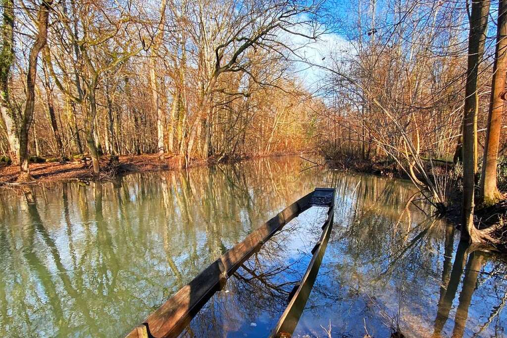 Drei Millionen Euro Für Die Renaturierung Des Rheins - Kappel ...