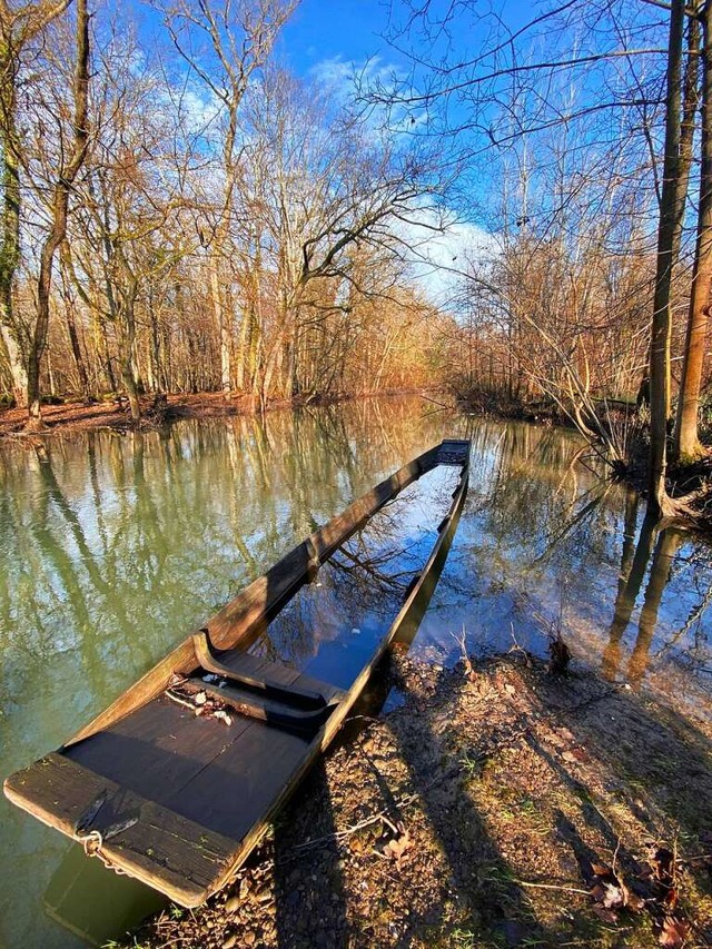 Fr die Renaturierung des Rheins im Na...llt die EU drei Millionen Euro bereit.  | Foto: Mark Alexander