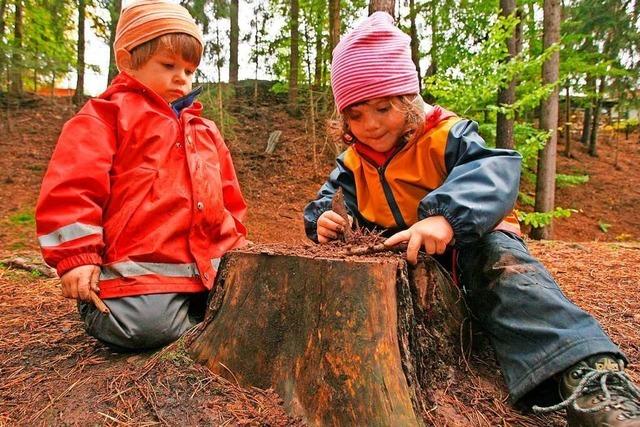 Landratsamt will kotoiletten vom Waldkindergarten nicht mehr akzeptieren