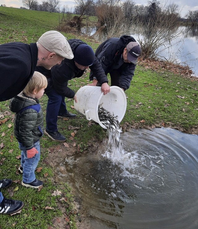 Vier verschiedene Fischarten setzte de...gangenen Mittwoch in den Badesee ein.   | Foto: Enya Steinbrecher