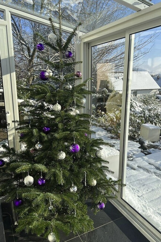 Bei Vogts schmcken in diesem Jahr lila Kugeln den Baum.  | Foto: Elisabeth Vogt