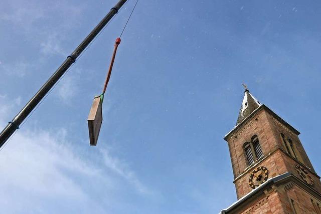 Kirche in Bonndorf wird saniert: Lamellenlden fliegen durch die Luft