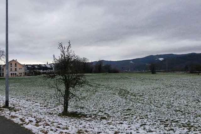 Den Brgern geht es um die Wiese, desh...e man nicht aufs Foto, so Bjrn Bauch.  | Foto: Sidney-Marie Schiefer