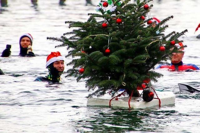 20 Mutige springen beim Nikolausschwimmen in eiskalten Bodensee