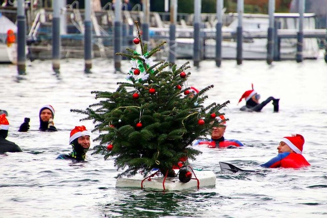 Am Samstag nach Nikolaus findet das mi...chwimmen der Wasserwacht Lindau statt.  | Foto: Davor Knappmeyer (dpa)