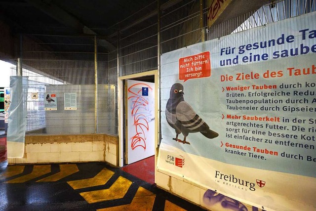 Am Eingang des Verschlages gibt es Infos ber Tauben.   | Foto: Rita Eggstein