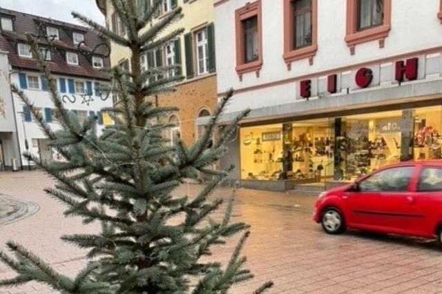 Emprung in Schopfheim: Wer hat zwei kleine Weihnachtsbume geklaut?