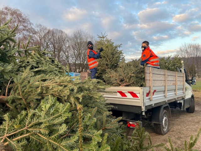 Wenn der Christbaum ausgedient hat, ka...t werden; der Landkreis ist auen vor.  | Foto: Martin Eckert