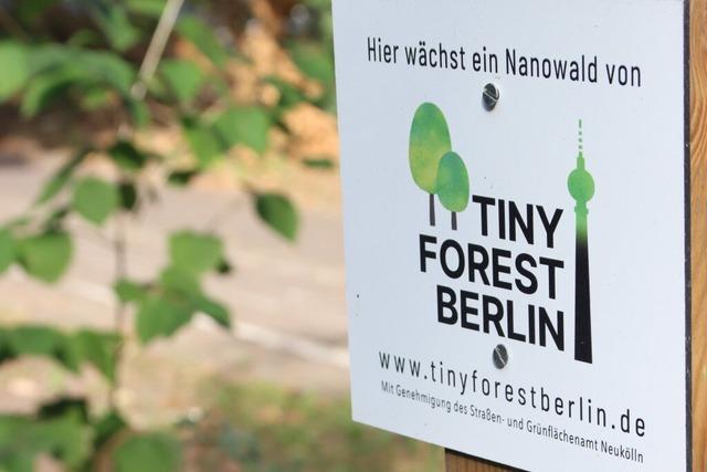 Mannheim bekommt ersten Tiny Forest in Baden-Württemberg