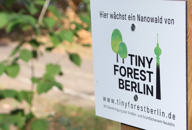 Auch in Berlin, Hamburg und anderen St...00 bis 2000 Quadratmeter groen Oasen.  | Foto: Philipp Brandstdter (dpa)
