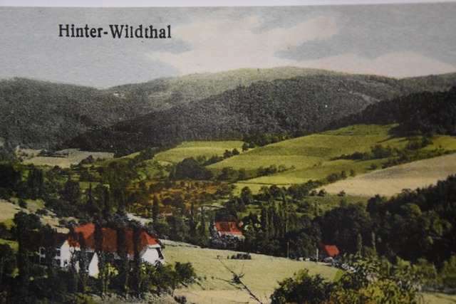 Historische Ortsansicht von Wildtal aus dem Nachlass von Hermann Thoma  | Foto: Andrea Steinhart
