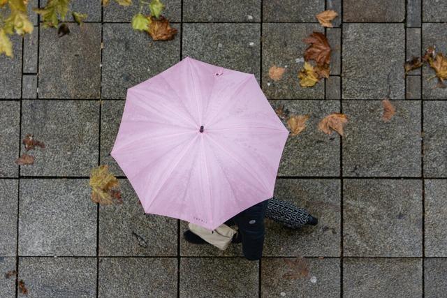 Wetter am Hochrhein: wenig Sonnenschein und viel Regen im November