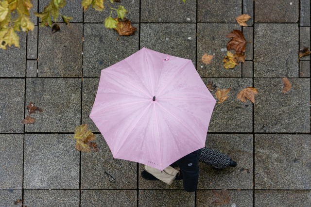 Der November ist bekannt als launischer Monat. I  | Foto: Marijan Murat (dpa)