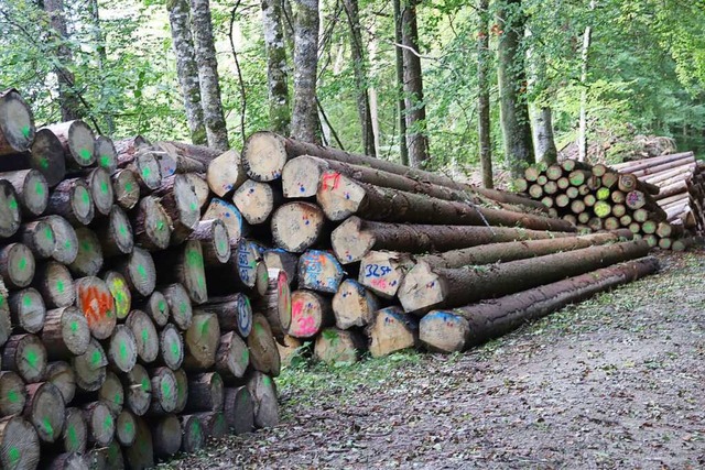 Frster Tom Drabinski gibt im Gemeinde...mit Erlsen von 77.000 Euro gerechnet.  | Foto: wax st gr fors2t.jpg