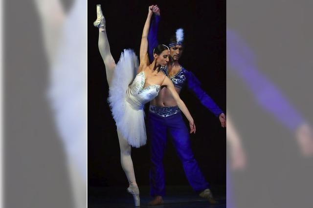 Ukrainisches Ballett tanzt im Parktheater