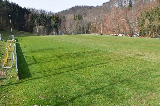 Die Sanierung des Eichsler Sportplatzes findet sich nun im Haushaltsplan.  | Foto: Horatio Gollin