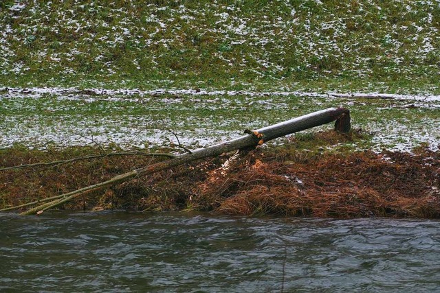 Sichtbare Spuren   hinterlsst das gef...te Jrmie Tudoux dort aber nicht aus.  | Foto: Ulrich Senf