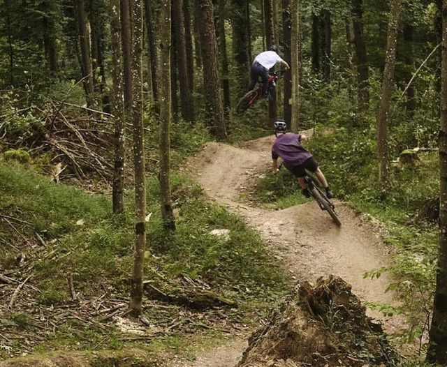 Schwungvoll unterwegs: Mountainbiker auf dem Lrracher Trail  | Foto: Mountainbike e. V. Lrrach