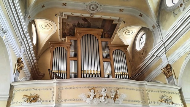 Die Metzler-Orgel der Kirche St. Marti...ten Instrumente der Region gewrdigt.   | Foto: Sigfried Schibli