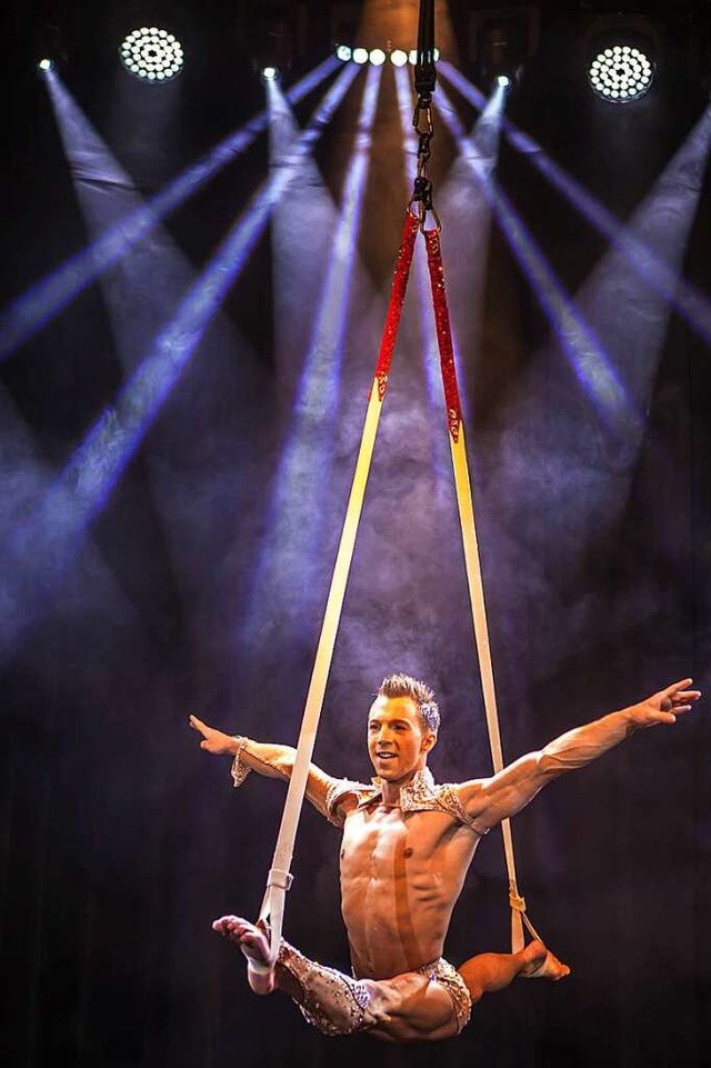 Akrobatische Hchstleistung: Marco Noury an den Strapaten  | Foto: Weihnachtszirkus Lrrach