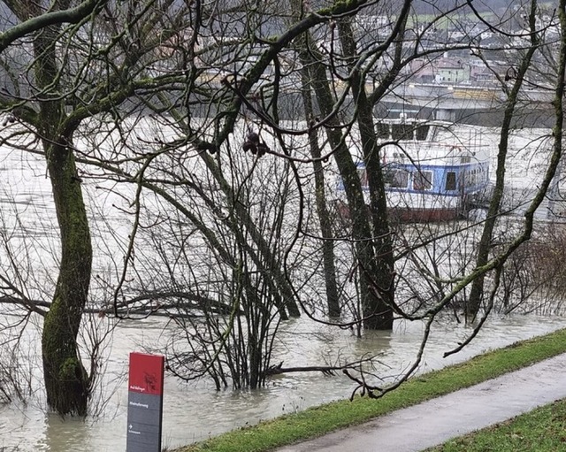 Der Rheinuferweg in Bad Sckingen blie...Donnerstag fr Spaziergnger gesperrt.  | Foto: Olheide, Monika