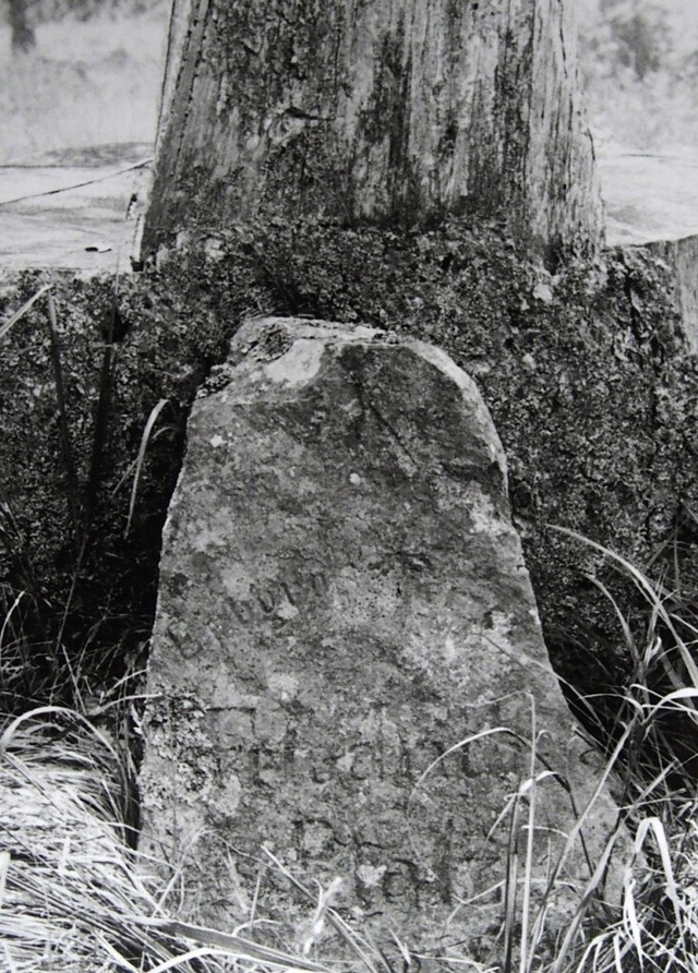 Der Stein zur Kennzeichnung des Erbgro...Friedrich-Platzes neben der Hilda-Hhe  | Foto: Thomas Mutter