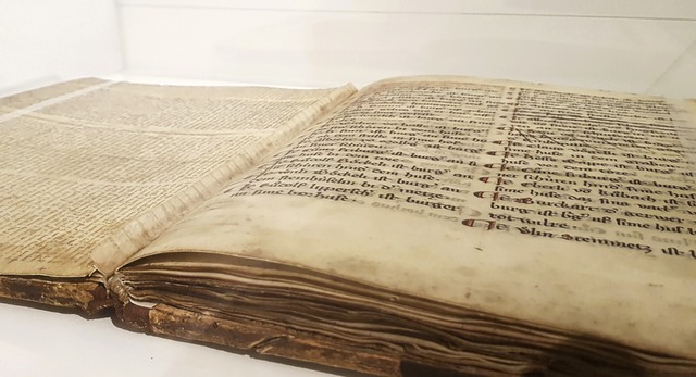 Das restaurierte Brgerbuch kann wieder im Stadtmuseum besichtigt werden.   | Foto: Christian Kramberg