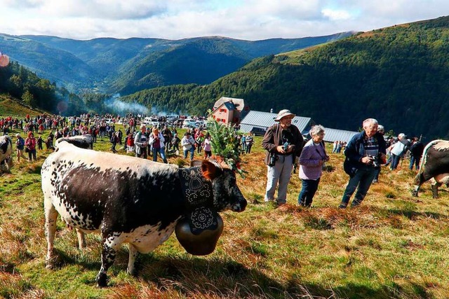 Die Almwirtschaft in den Vogesen in Fr...Lndern ist nun Unesco-Weltkulturerbe.  | Foto: Quentin Gachon - ADT