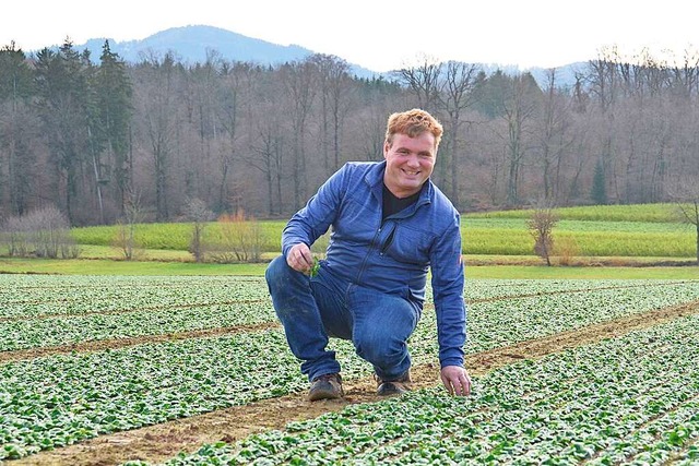 Der Weihnachts-Feldsalat, der pnktlic...ierberghof in Ehrenstetten zu wachsen.  | Foto: Sophia Hesser