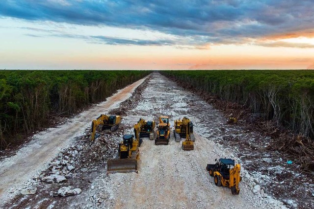 Fr die Strecke des Maya-Zugs wurden T...es mexikanischen Dschungels entwaldet.  | Foto: Fernando Martinez Belmar (dpa)